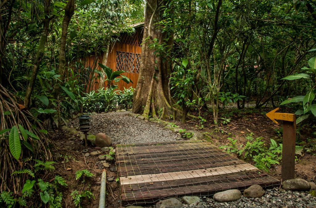 Tierra De Suenos Lodge & Wellness Center Puerto Viejo de Talamanca Exterior photo