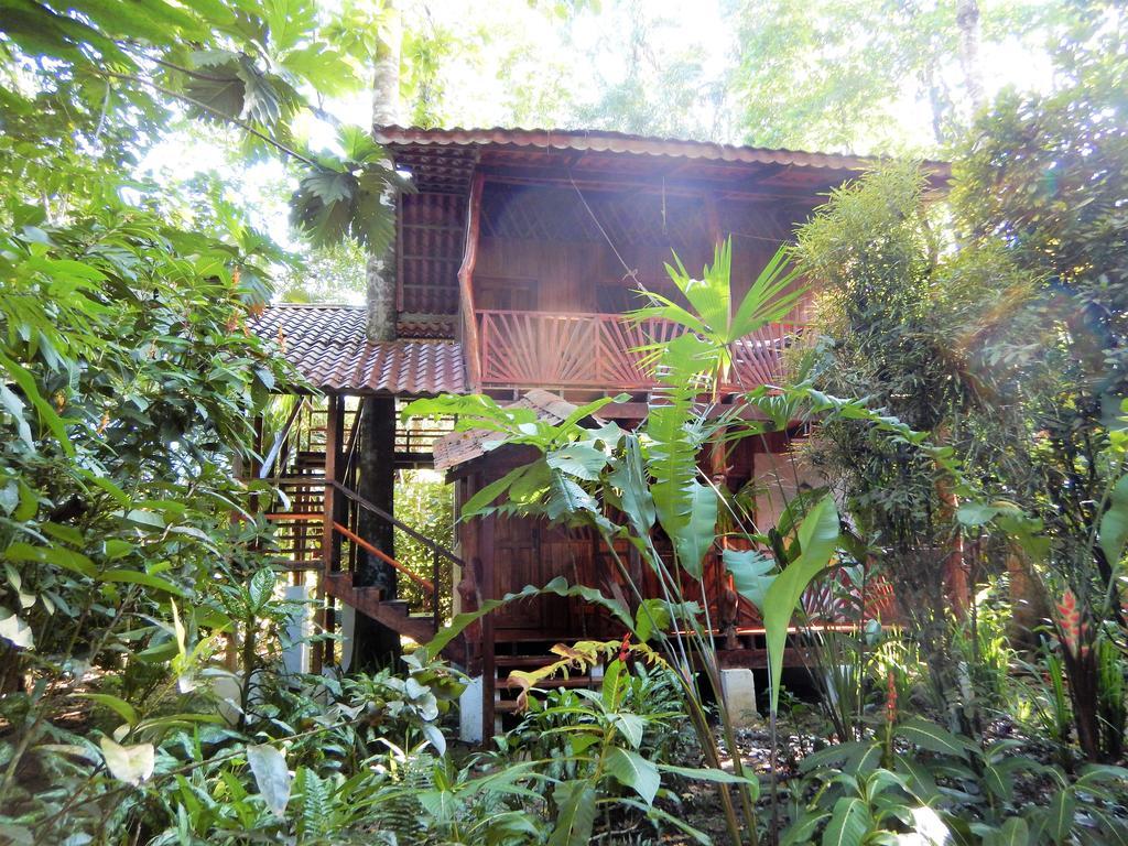 Tierra De Suenos Lodge & Wellness Center Puerto Viejo de Talamanca Exterior photo