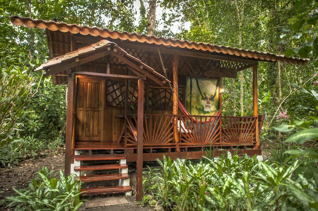 Tierra De Suenos Lodge & Wellness Center Puerto Viejo de Talamanca Exterior photo