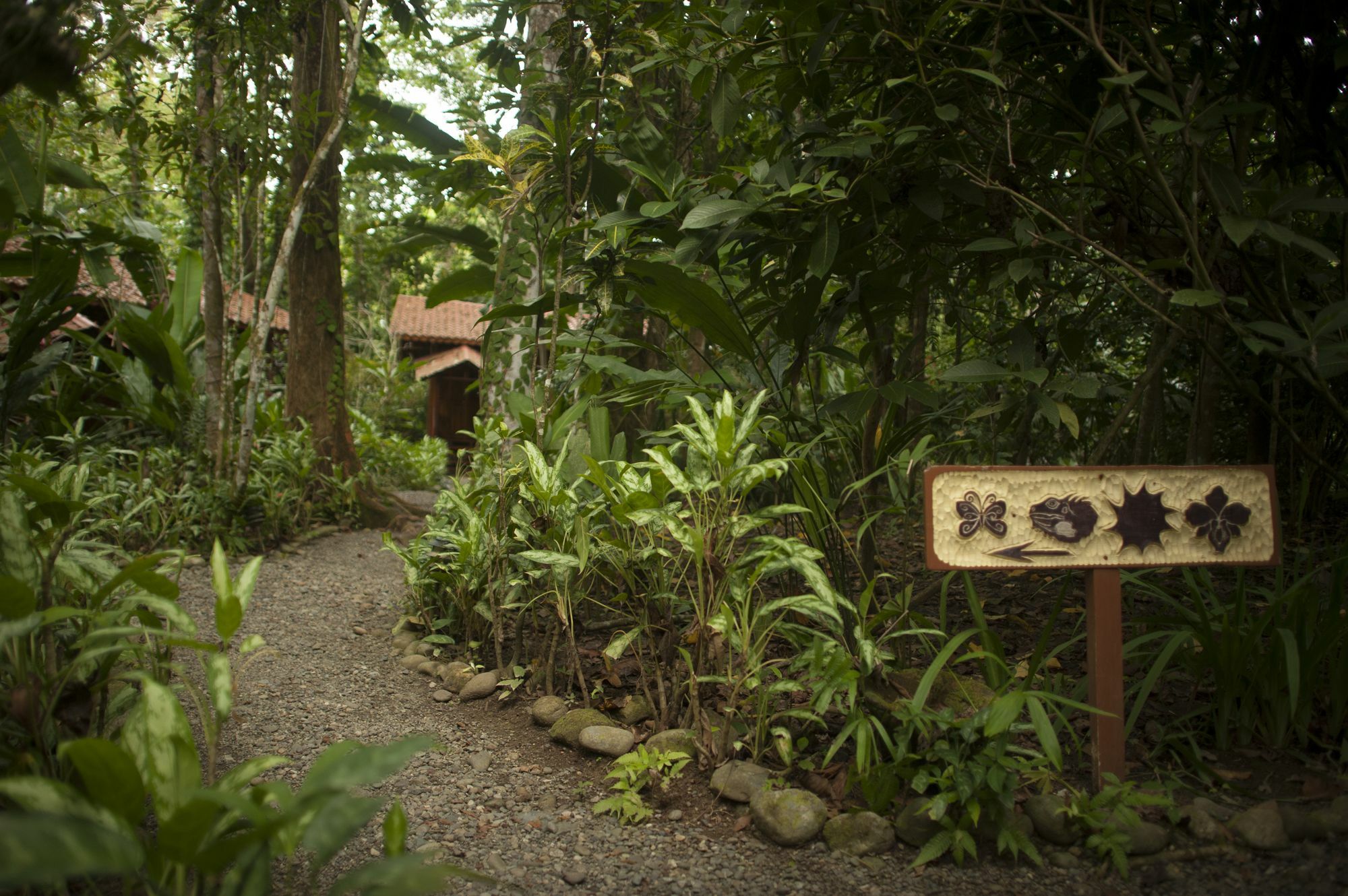 Tierra De Suenos Lodge & Wellness Center Puerto Viejo de Talamanca Exterior photo